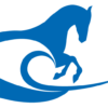 Courier to Dubai